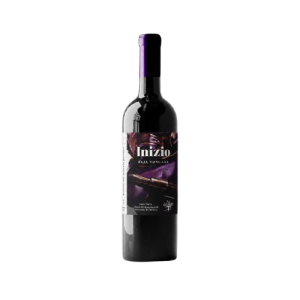 Inizio