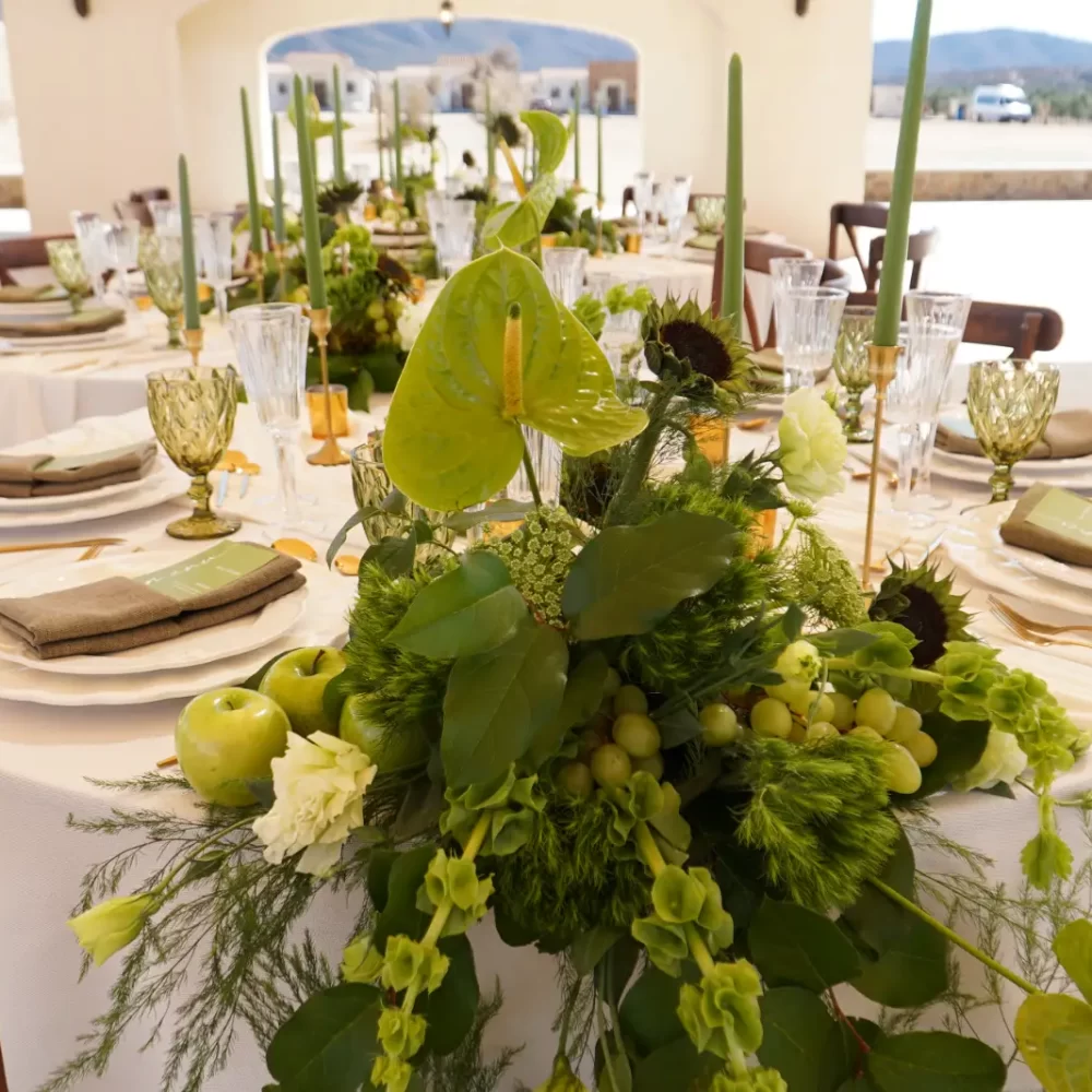 DSC00434